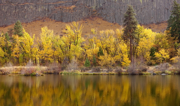 Tim's Pond-Near Oak Creek
