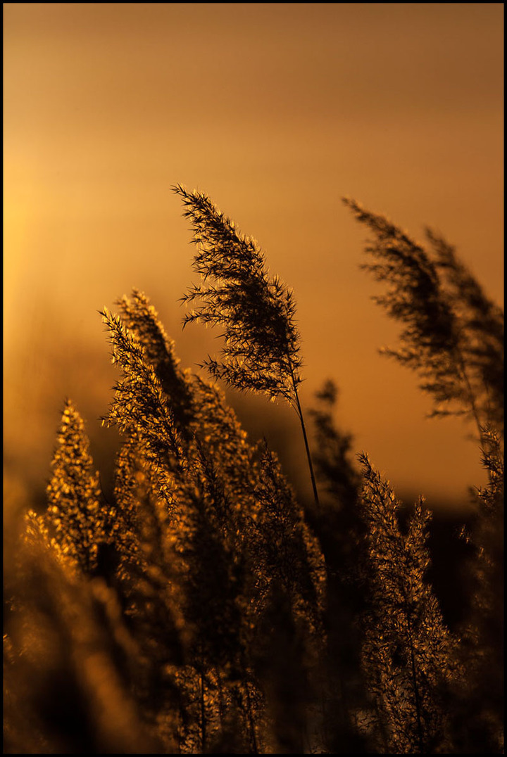 Suns going down 
