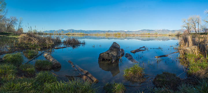Morning Calm at Coot Lake