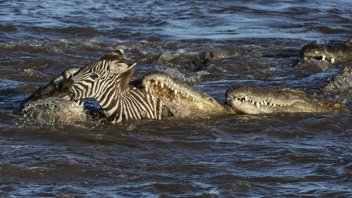 Jaws of Death