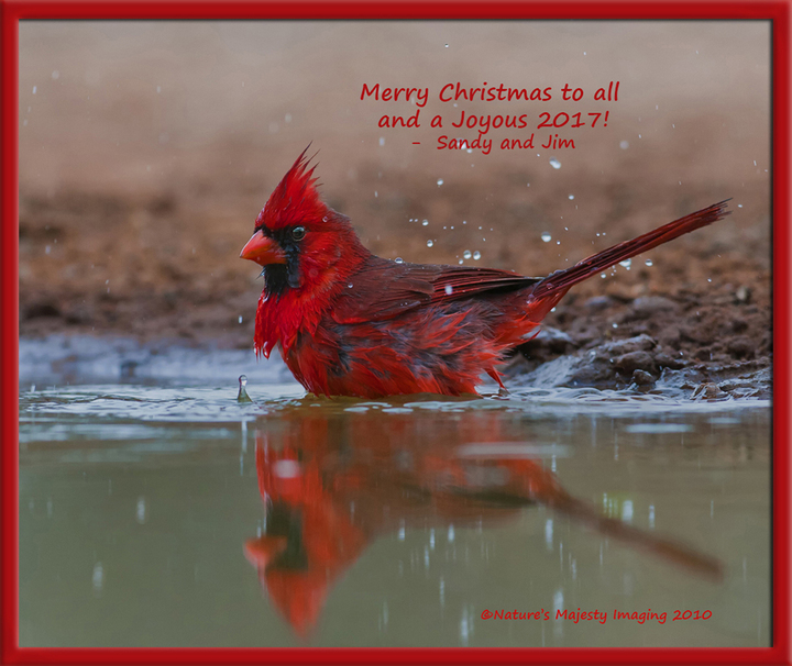 2016 Holiday Card Thread - please add yours!
