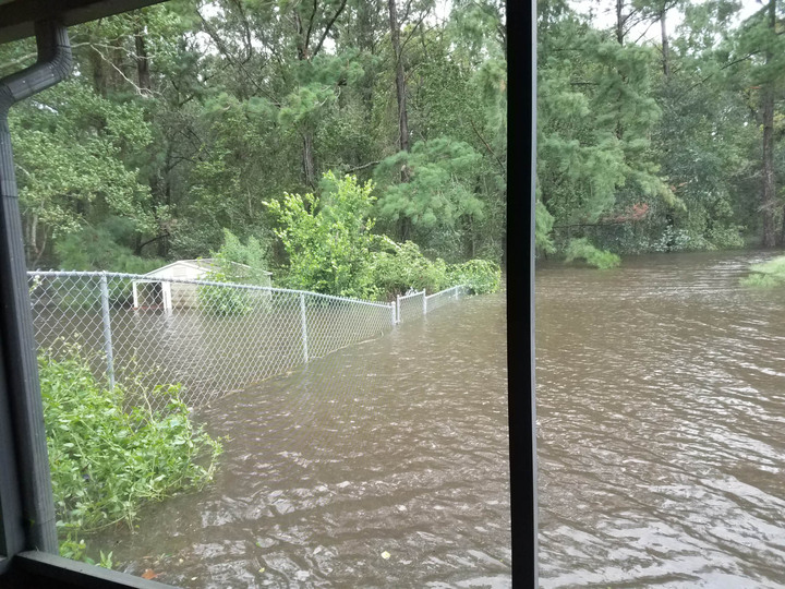 Report from Florida