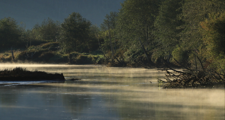 Chinook River