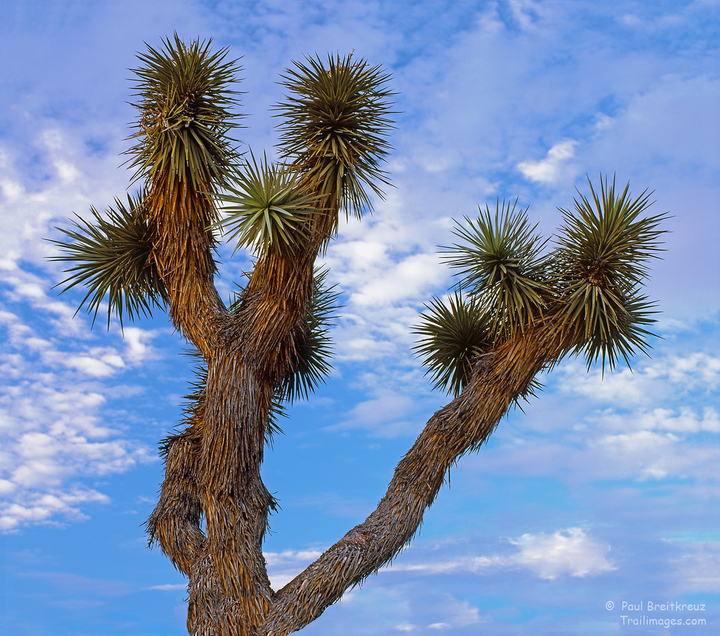 JTNP Missing Hikers - UPDATE 10/20/17