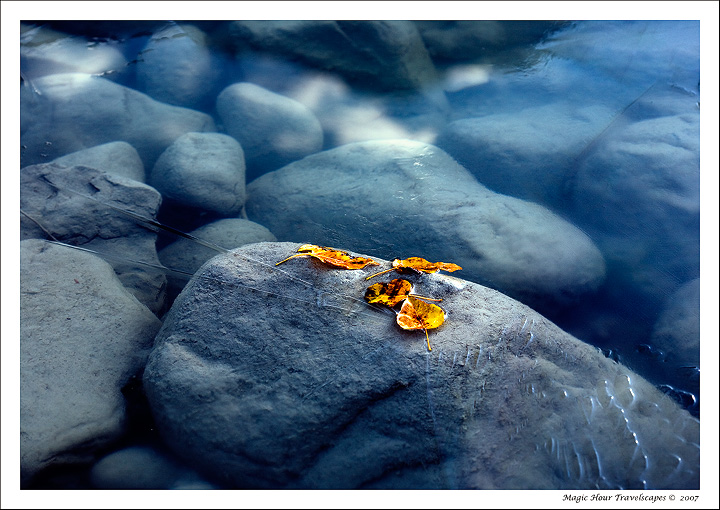 Frozen Moment