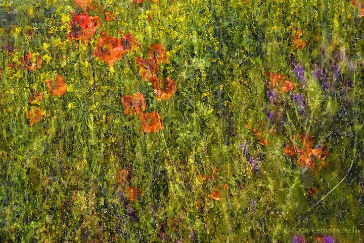 Palouse Bouquet Painting