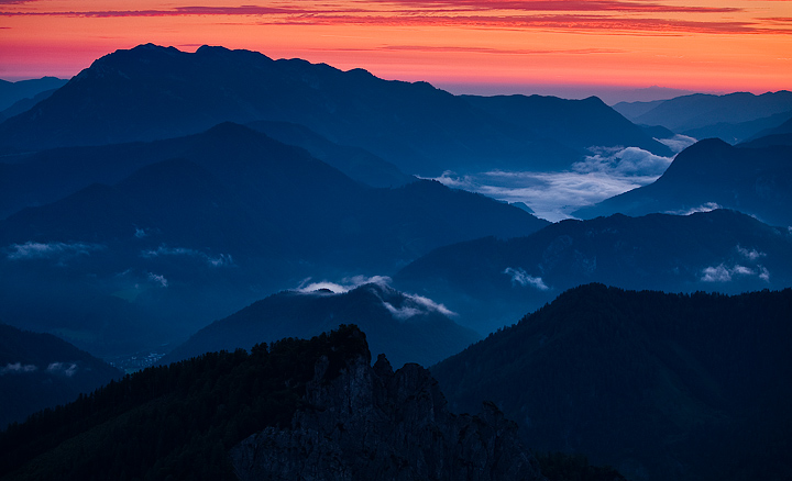 Morning Light