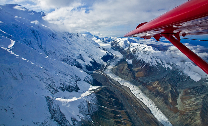 Winging it!