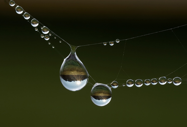 Web Dewdrops