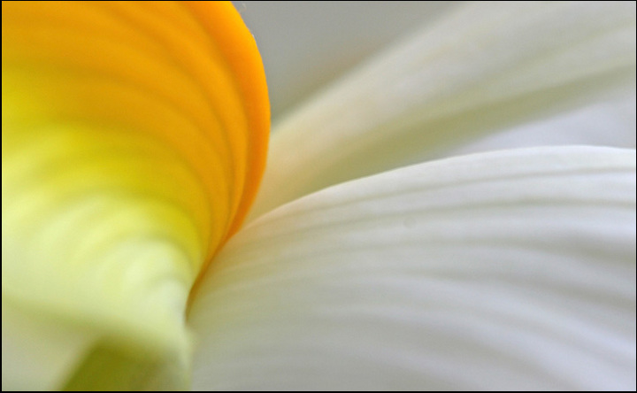 Swirl