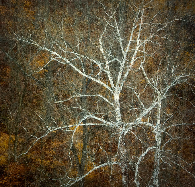 Ode to Autumn