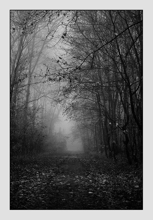 Walk into November