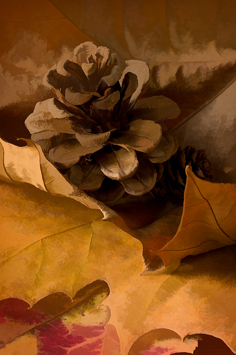 Pine Cones and Leaves