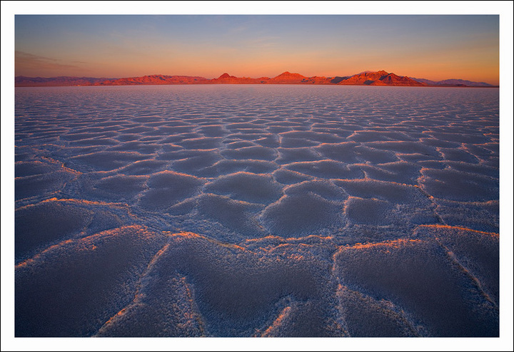 Salty Paintings