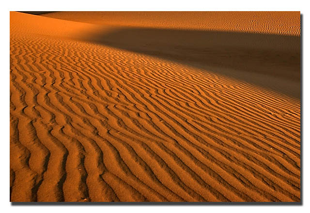 WC #131  – Sand Dunes