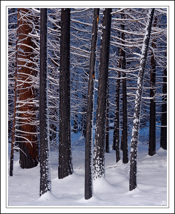 Photo of the Month 02/09