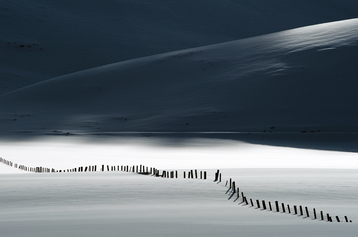 Fence Line