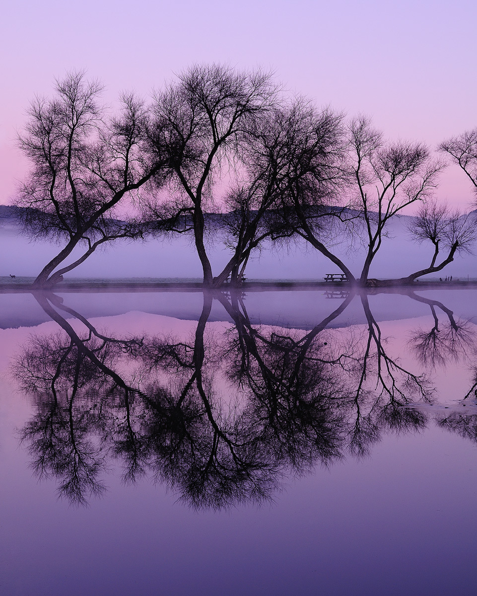 Twilight Reflections