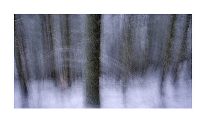 Winter Dreams