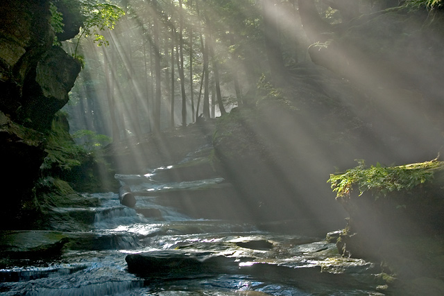 A Flood of Light