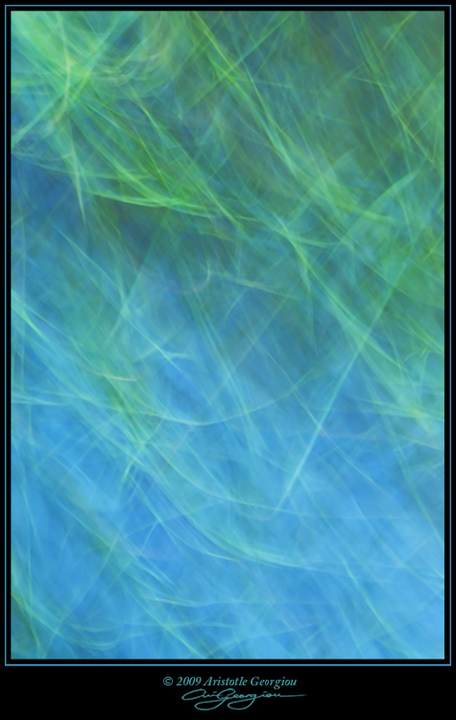 Blue Swamp