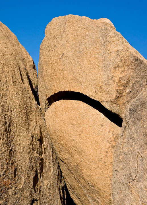Shark Rock