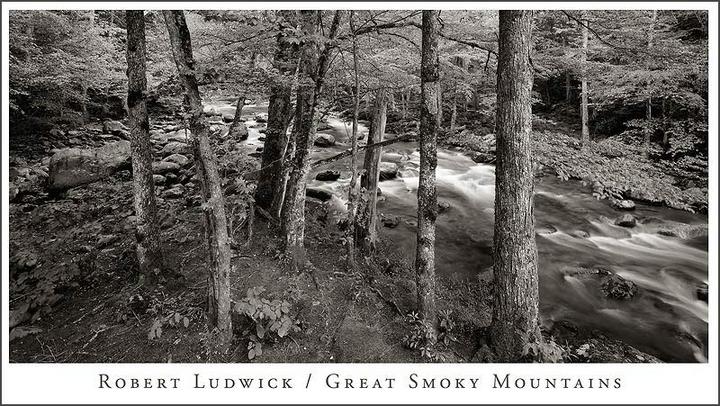 Greenbrier Cove Stream