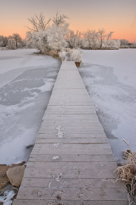 Bridging The Cold