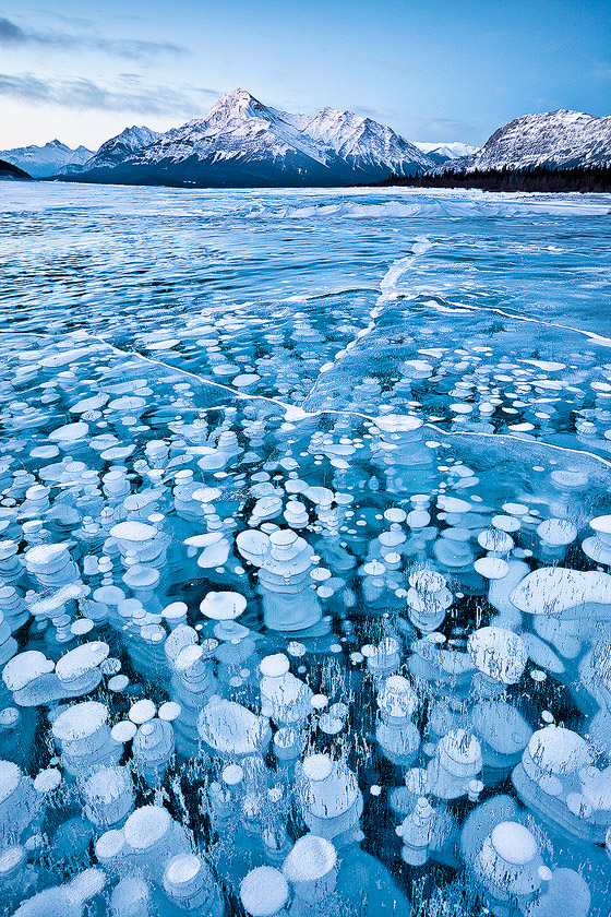 Frozen Bubbles