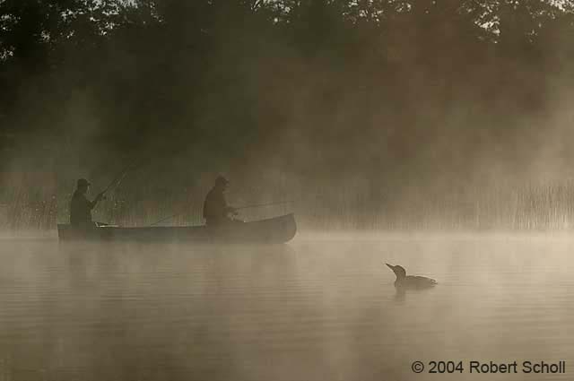 Morning Serenity