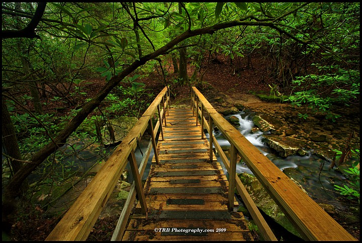 Bridge over Bad Branch