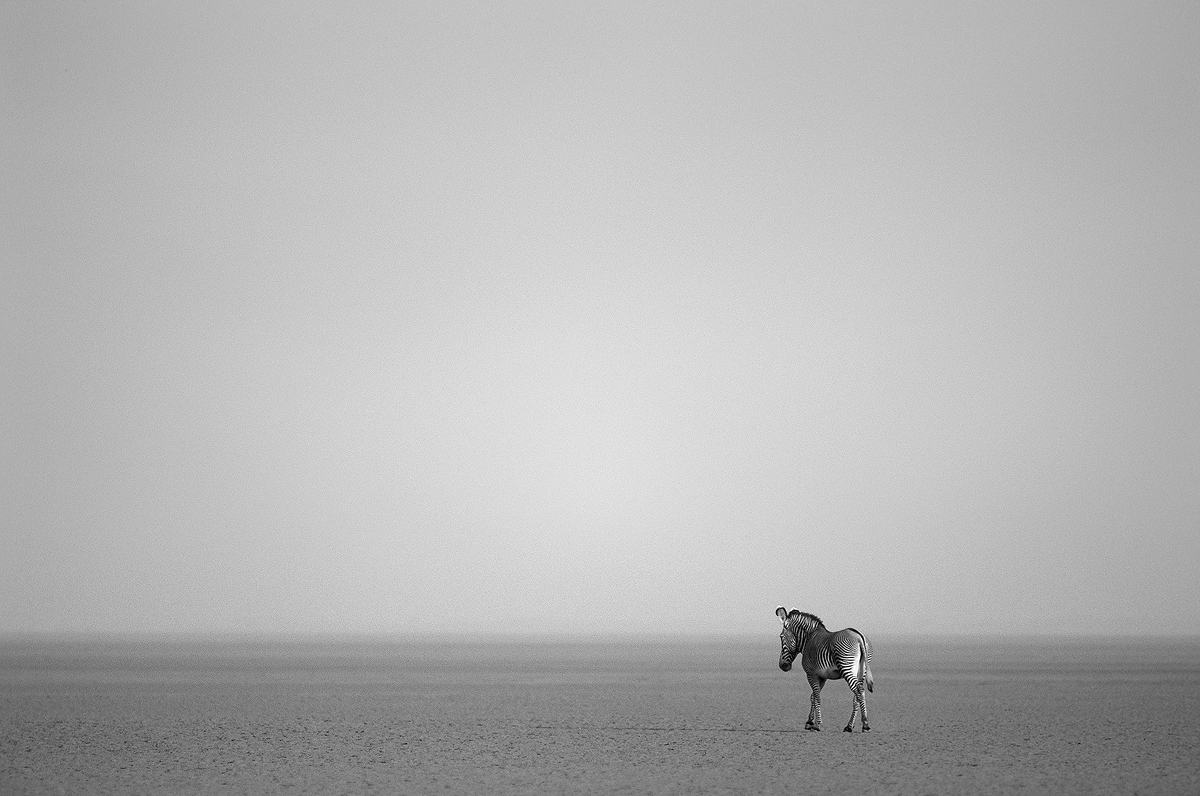 to the ends of the earth ...