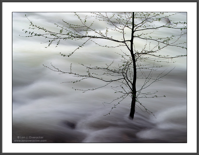 In the Flow II