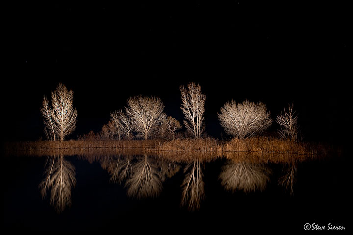 Light Paint