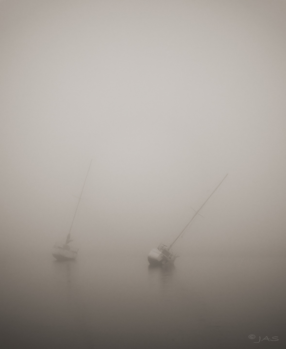Low Tide and Fog