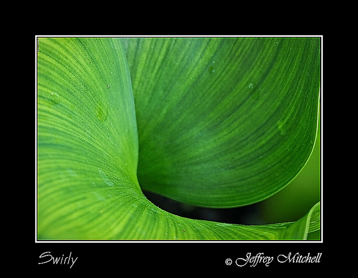 Swirly