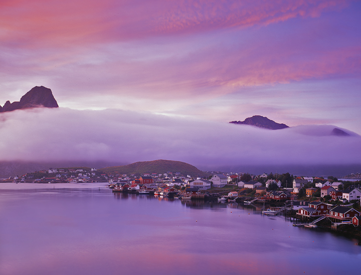 Reine