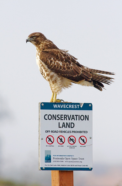 Conservation Land