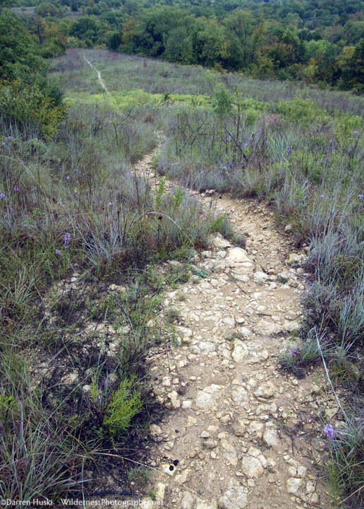 On theTrail