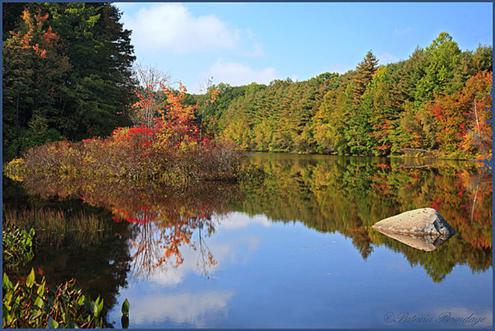 Nature's Colors