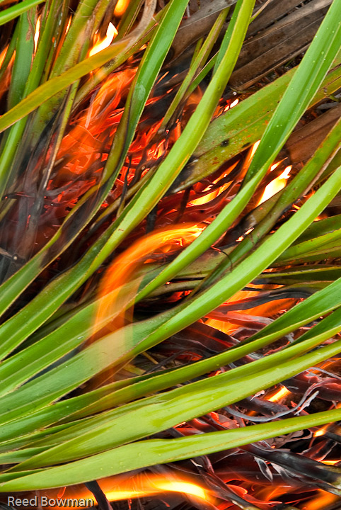 fire patterns