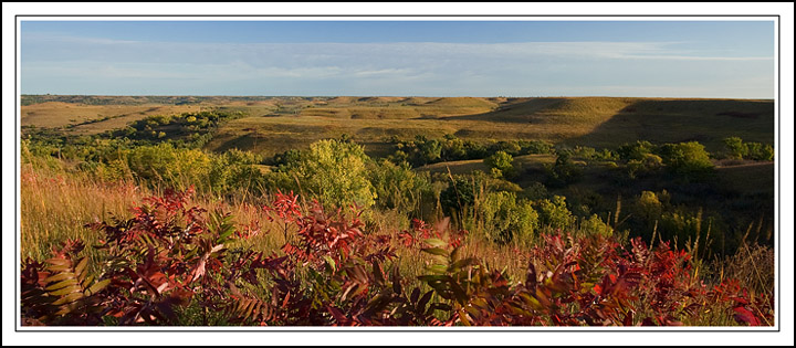 Prairie Fall