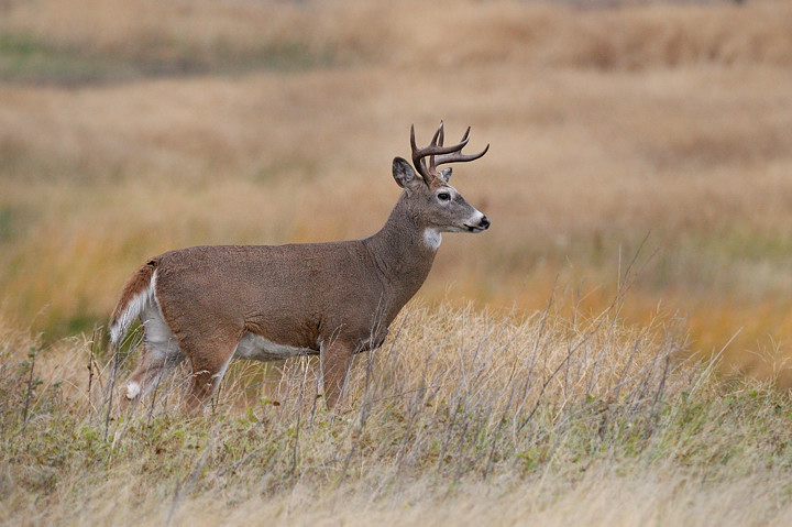 Symbol of outdoors