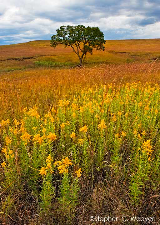Fall on the prairie