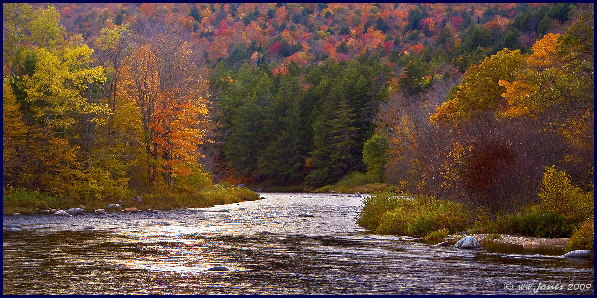 Flowing Into Fall