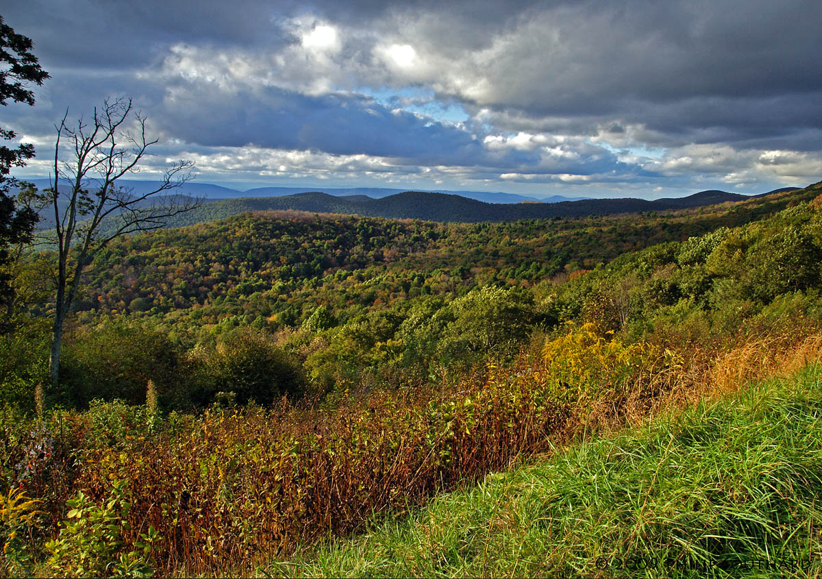 Blue Ridge Autumn