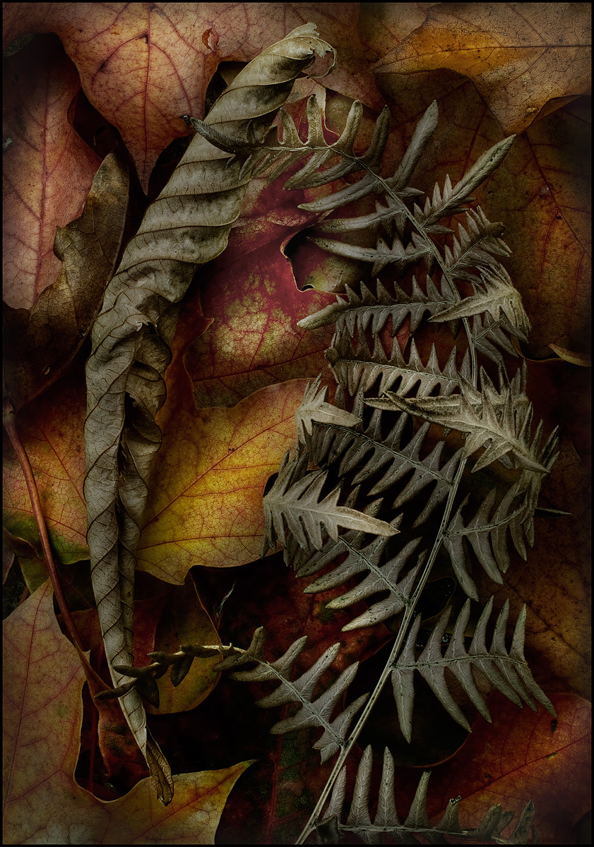 Fall Art