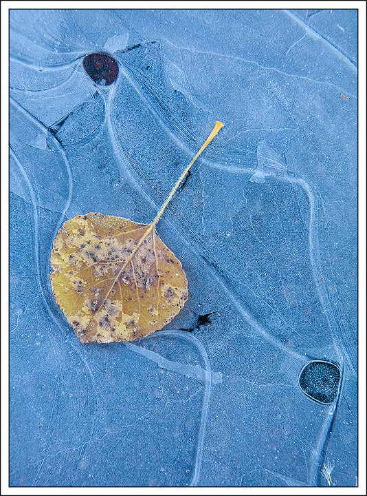 Frozen in Time