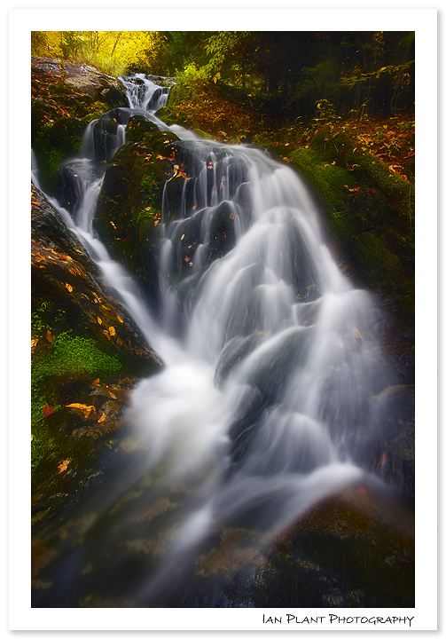 Wedge Brook Cascades
