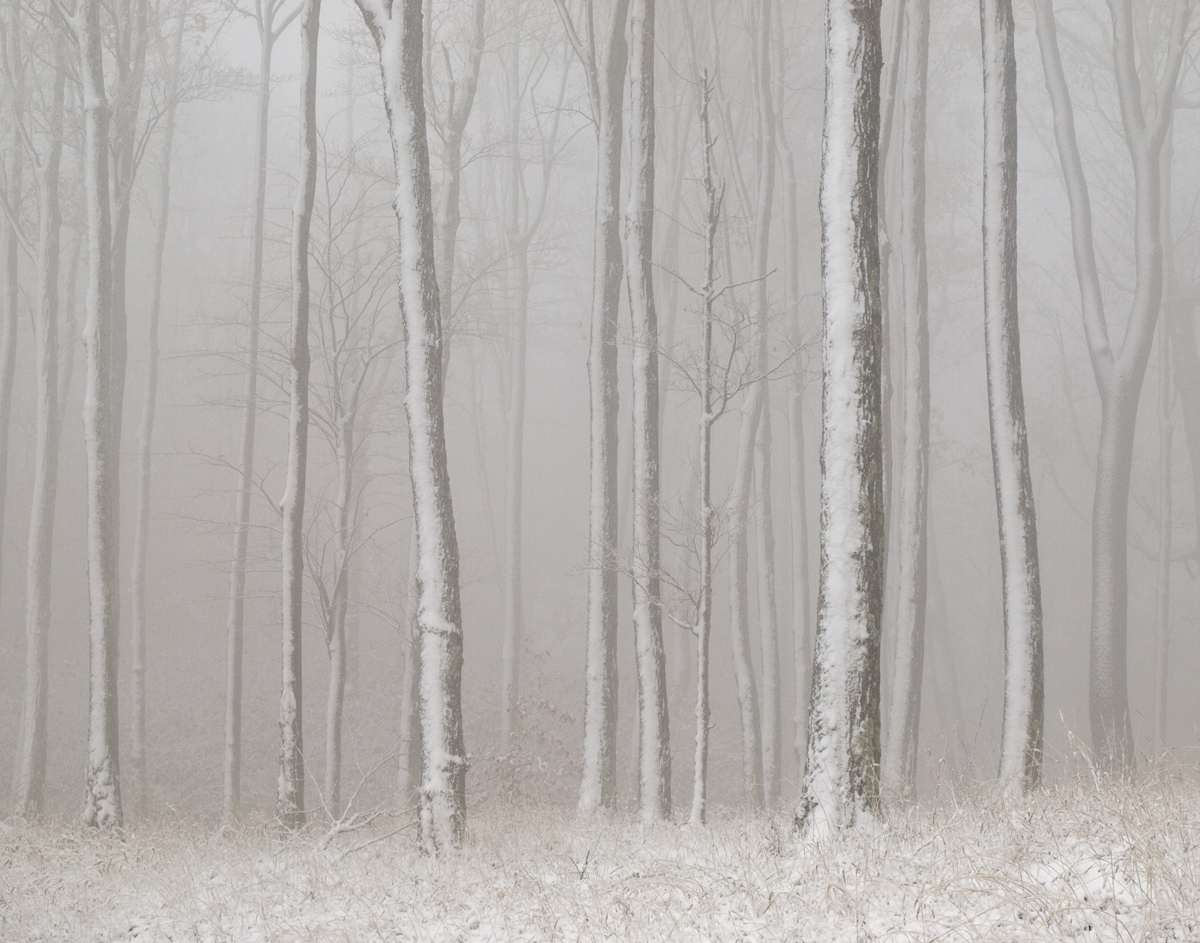 Ice Fog